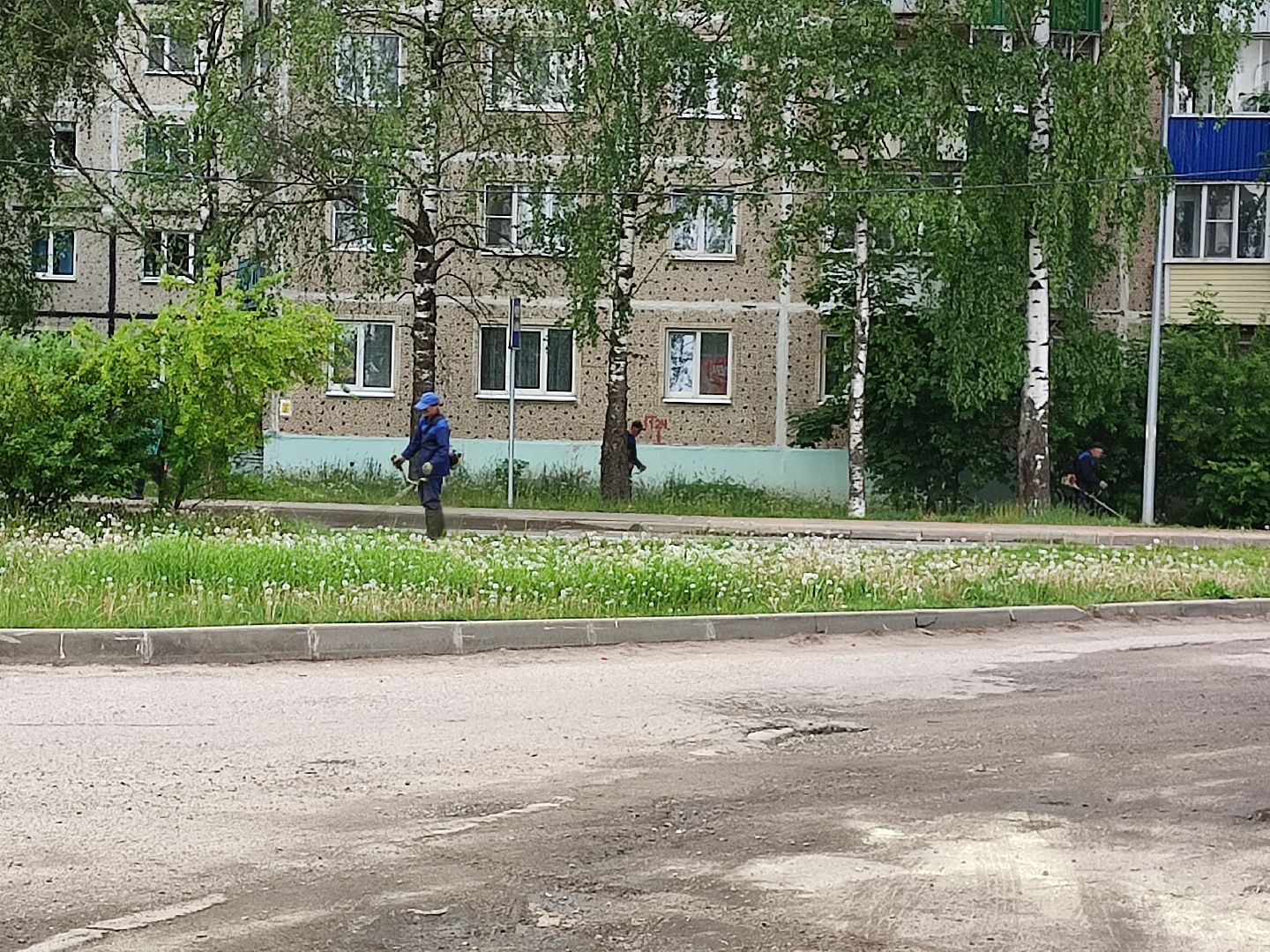 #благоустройство, #Талдом, #окружающаясреда, #уборкатерритории, #покостравы