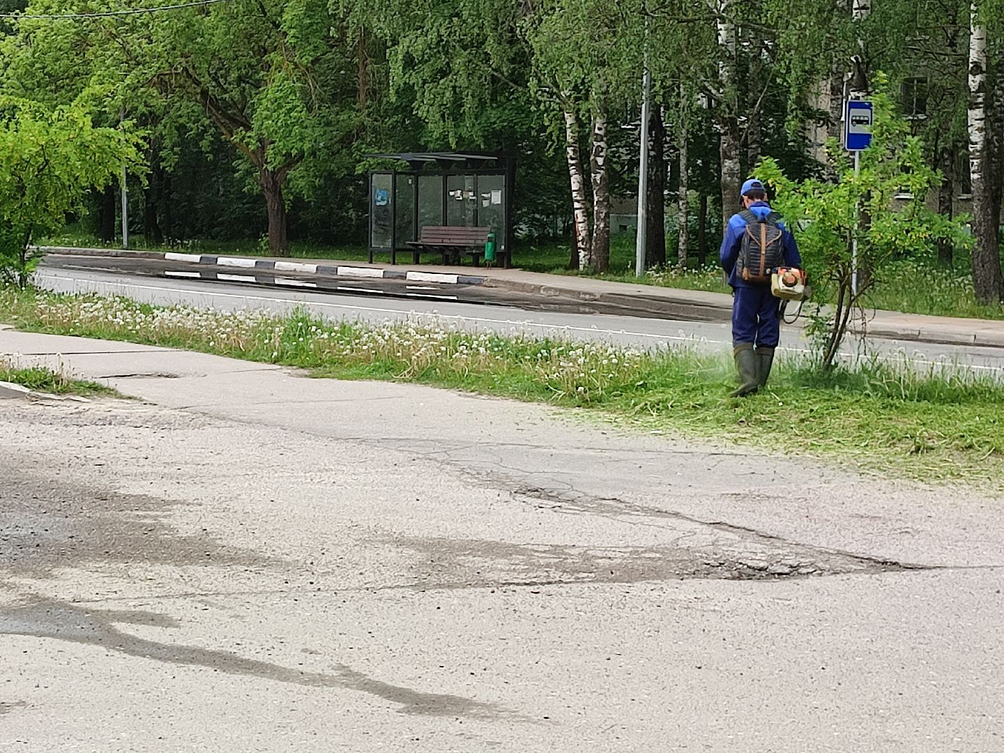 #благоустройство, #Талдом, #окружающаясреда, #уборкатерритории, #покостравы