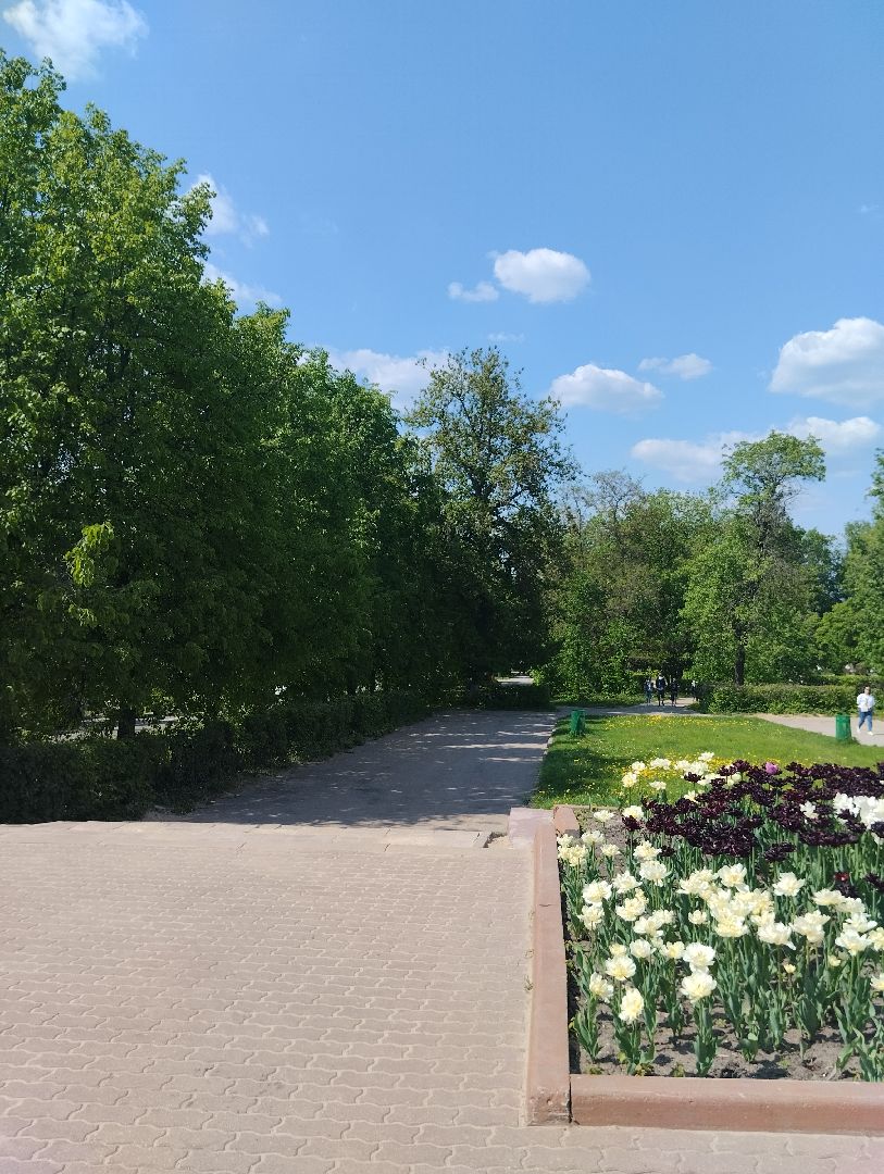 Благоустройство, озеленение, сквер Бугрова, Ногинск, Богородский городской округ