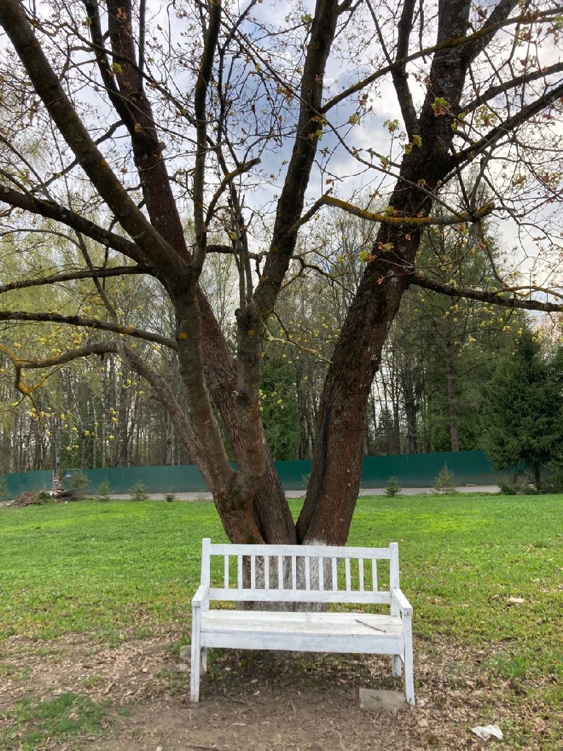 Солнечногорск, благоустройство, голосование, церковь, дети