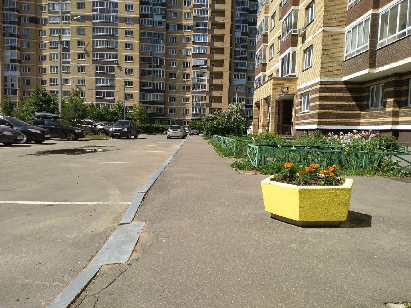 благоустройство, двор, тротуар, Лосино-Петровский