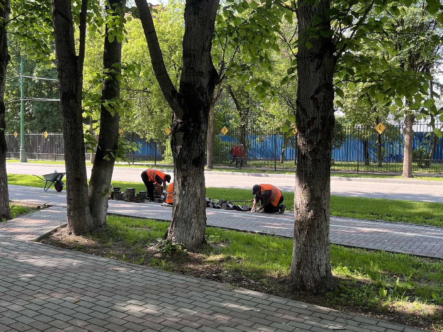 Химки, благоустройство, ОГХ, тротуар, пешеходная зона