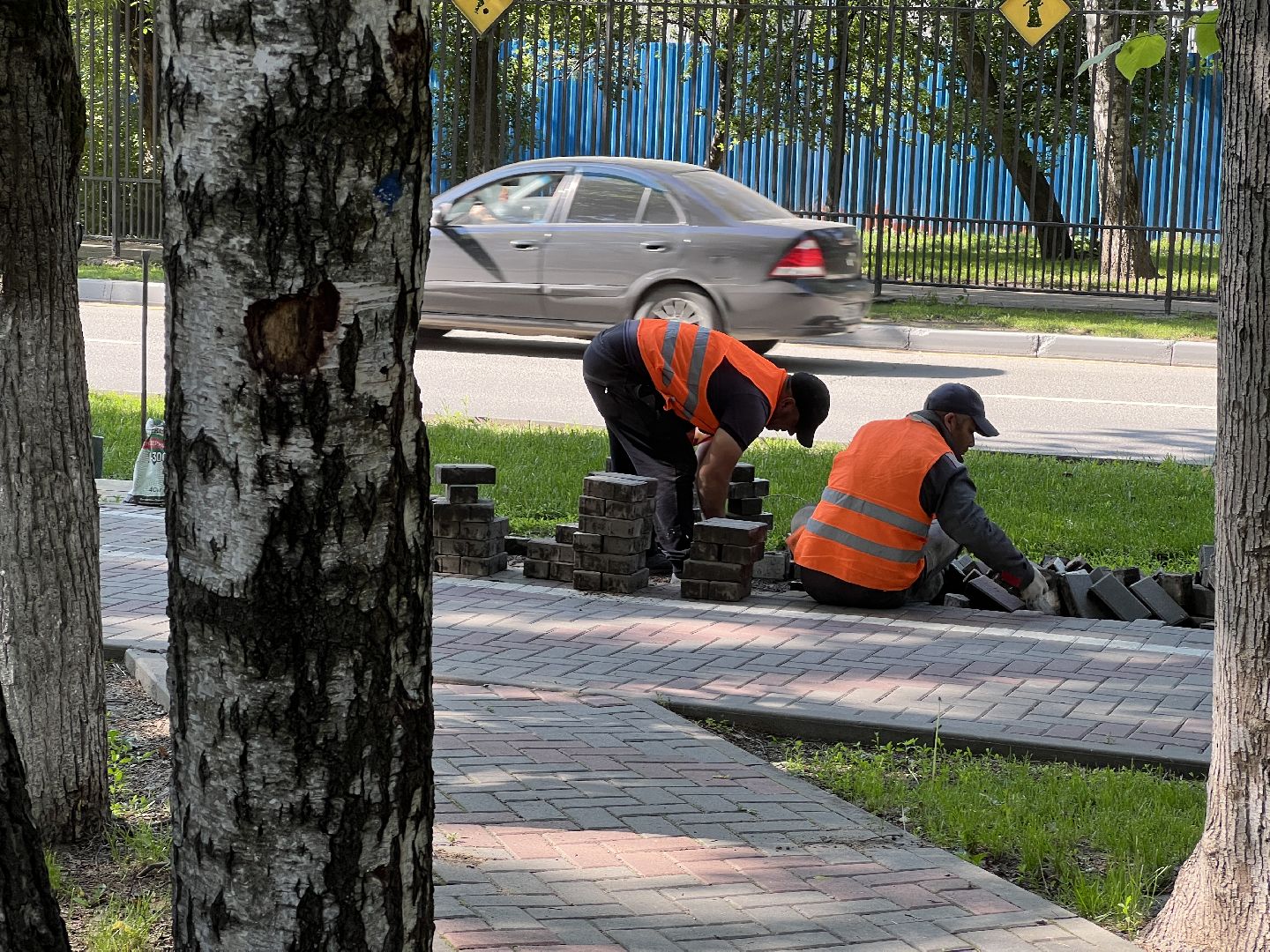 Химки, благоустройство, ОГХ, тротуар, пешеходная зона