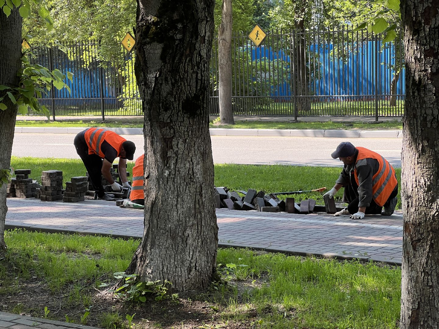 Химки, благоустройство, ОГХ, тротуар, пешеходная зона
