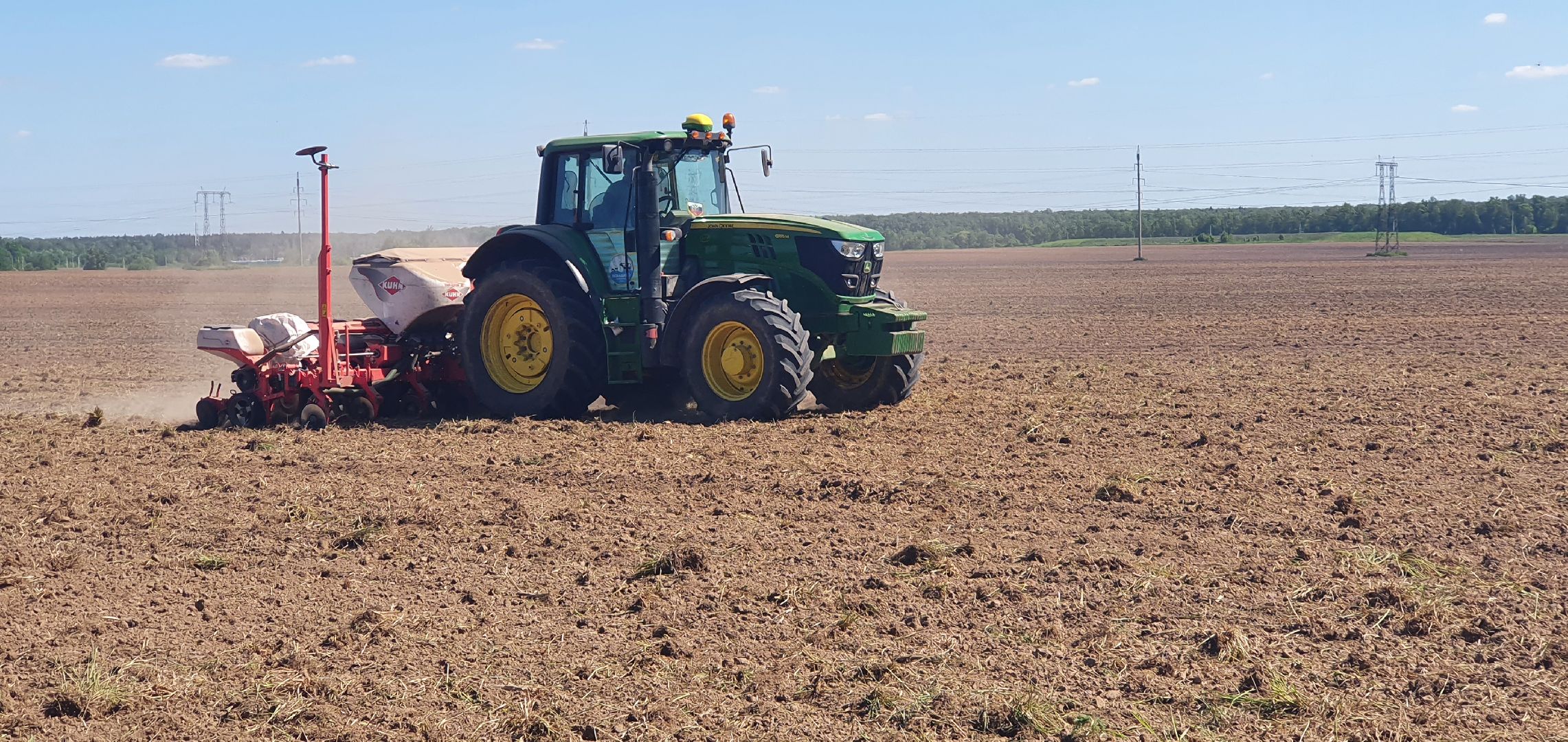 Повадинский племзавод, Домодедово