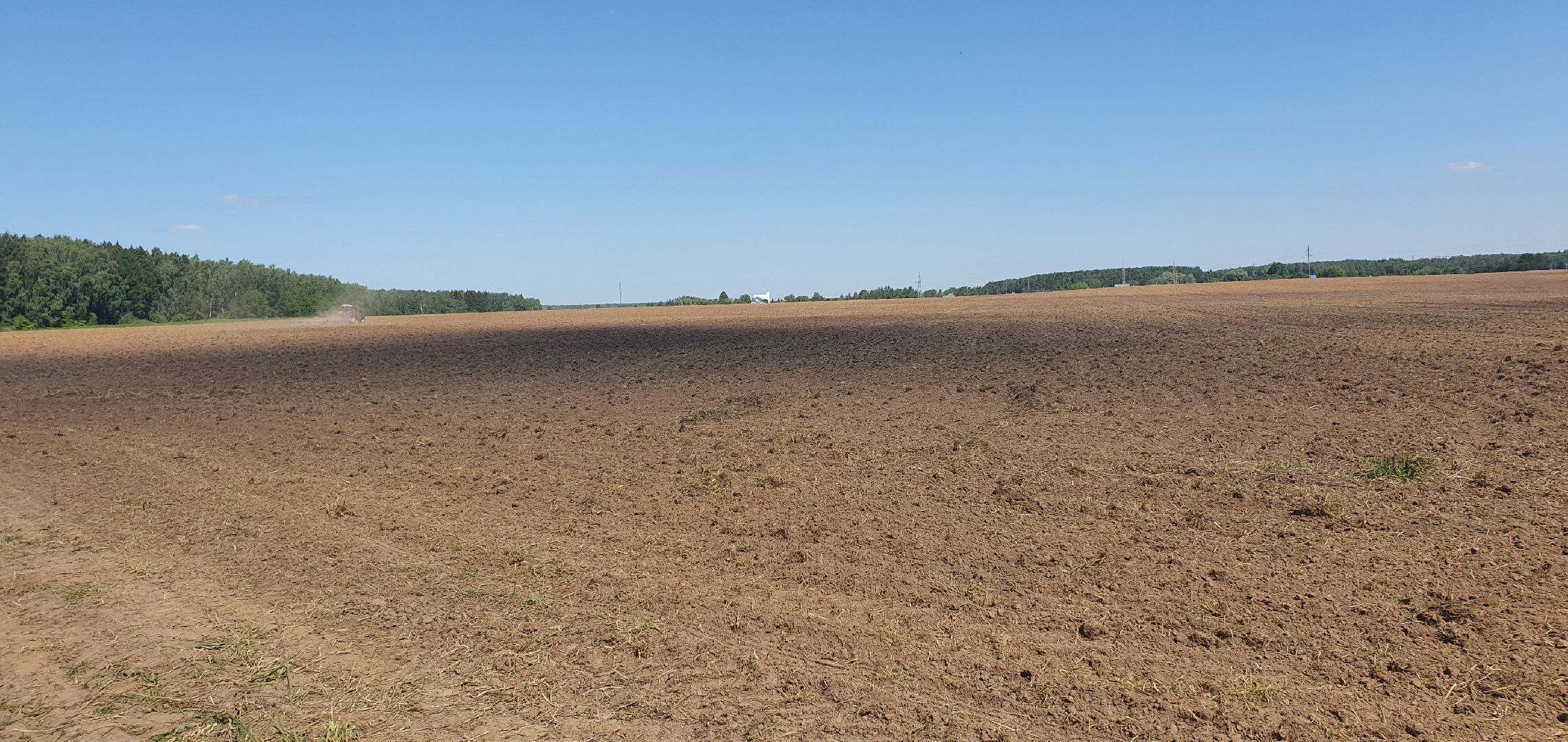 Повадинский племзавод, Домодедово