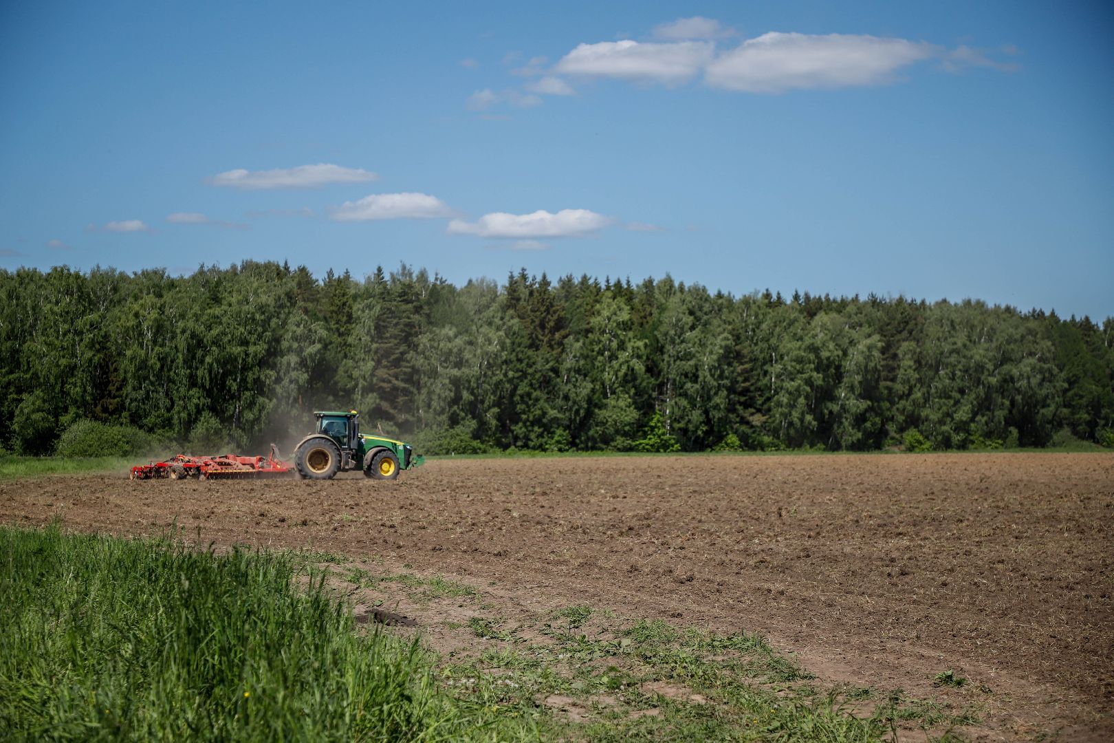 Повадинский племзавод, Домодедово