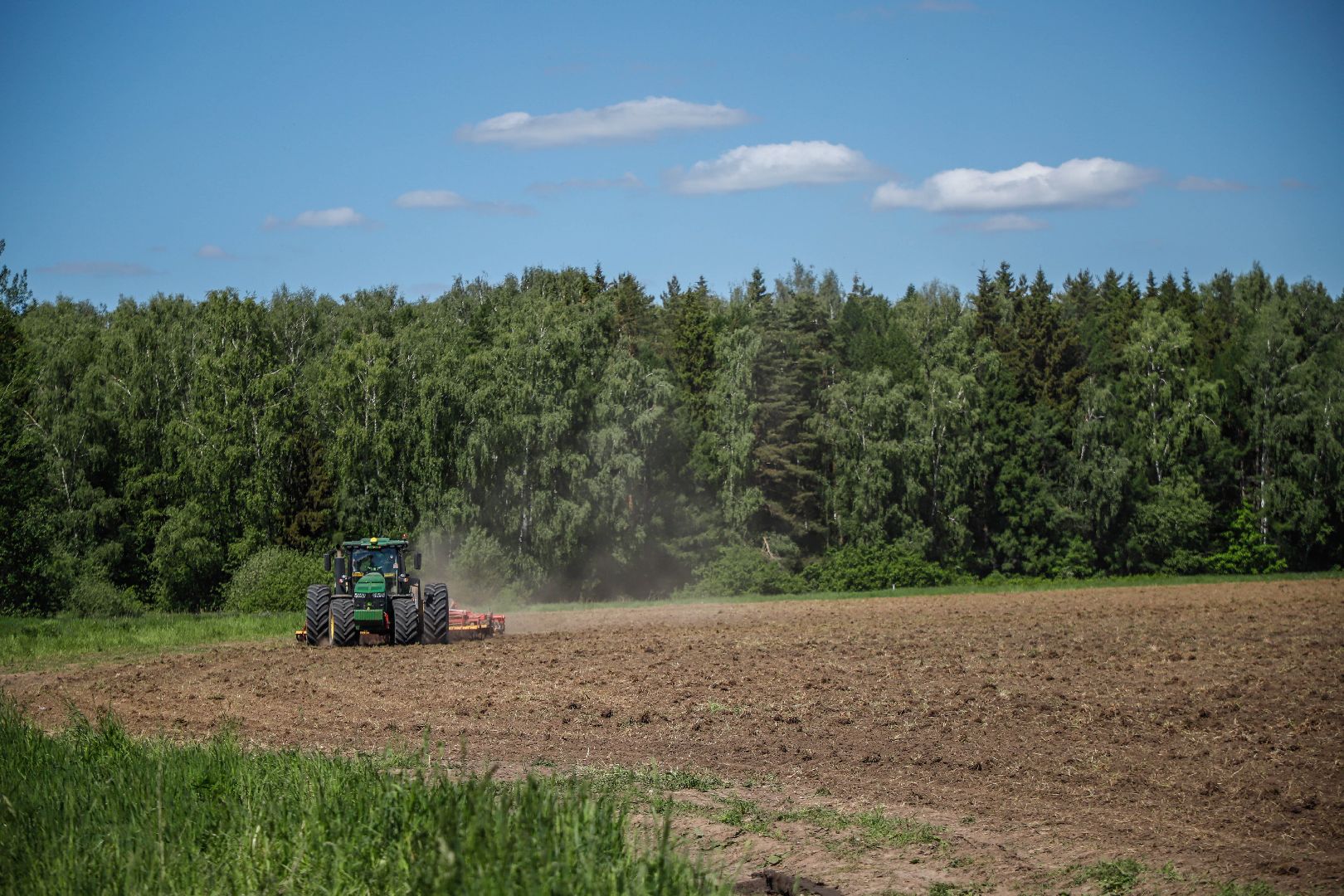 Повадинский племзавод, Домодедово