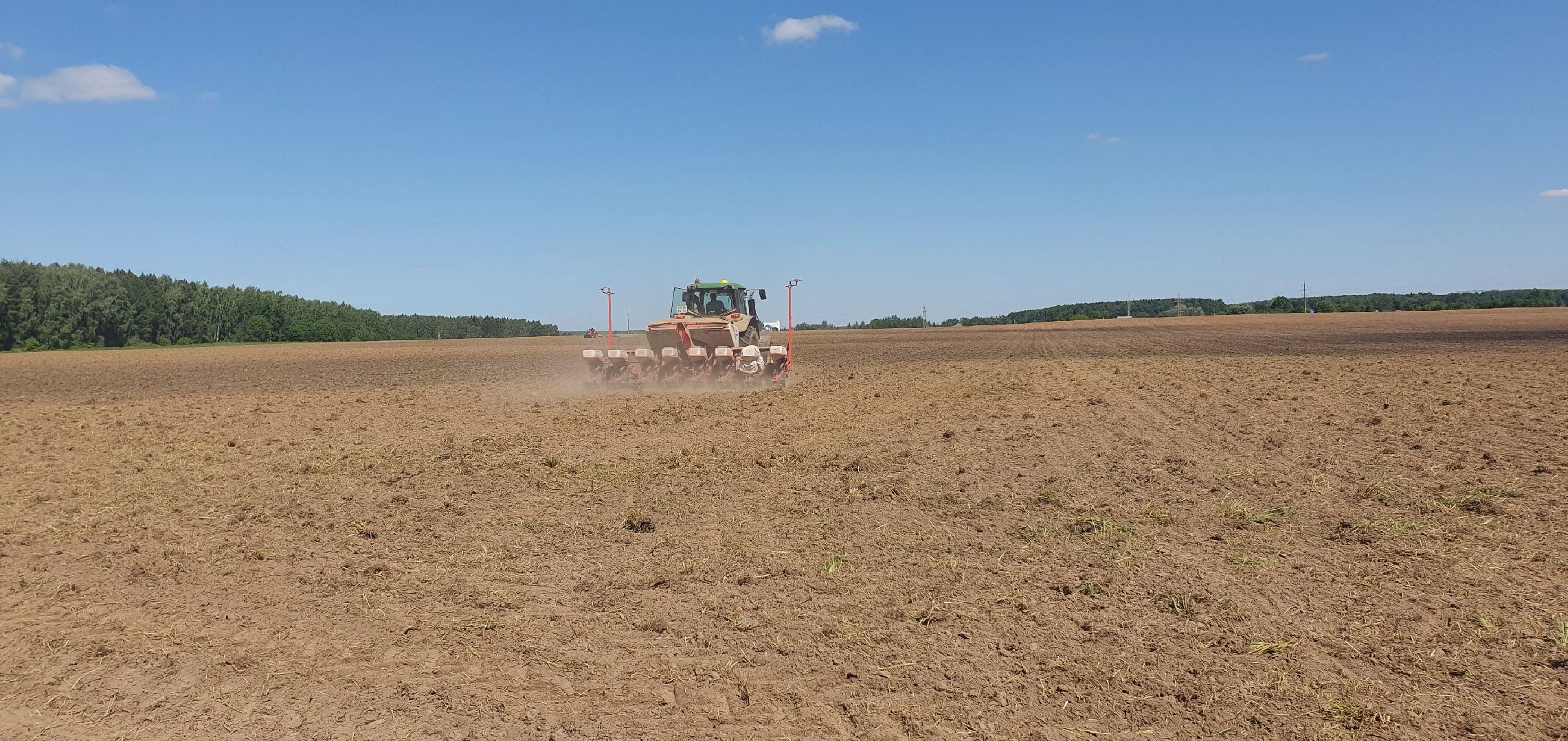 Повадинский племзавод, Домодедово