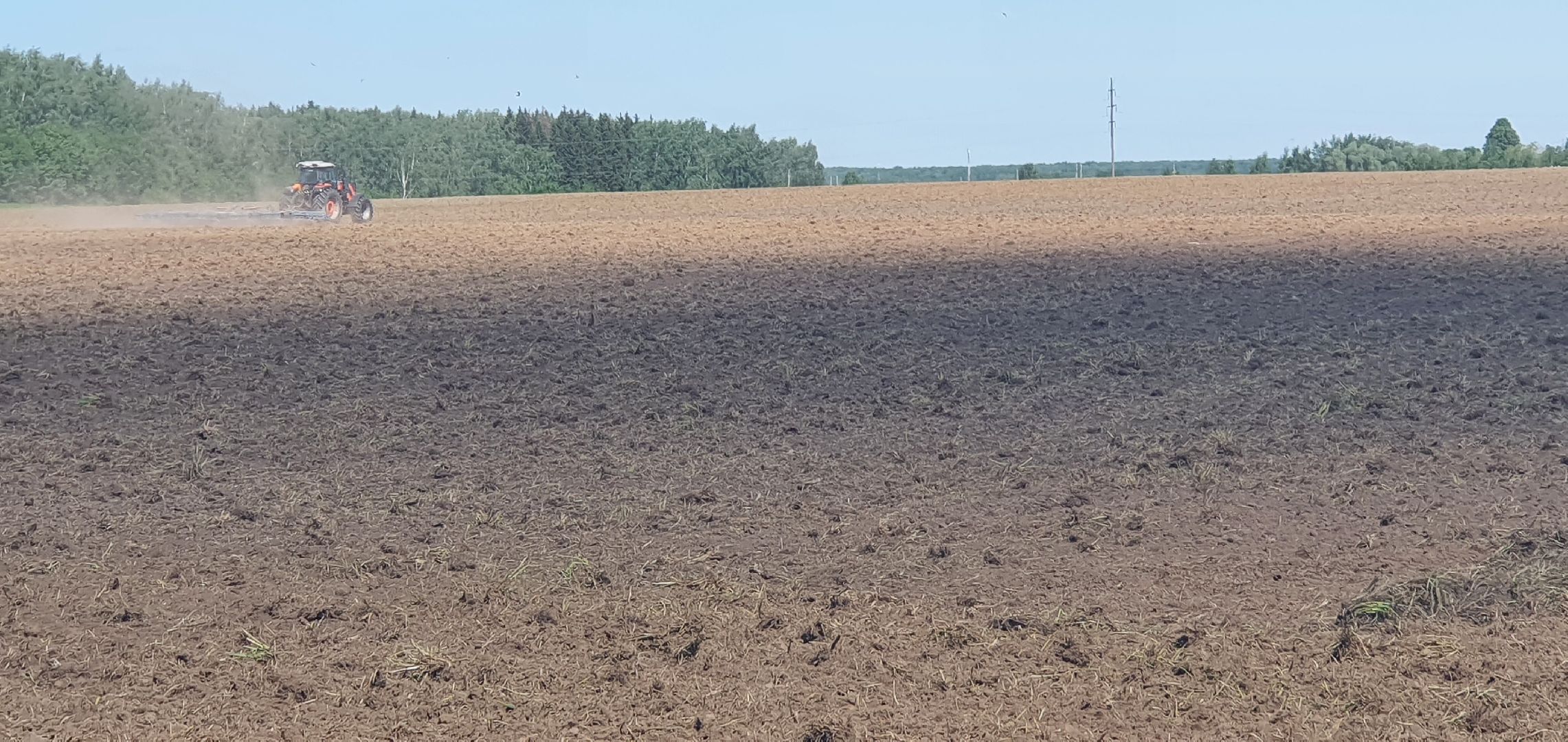 Повадинский племзавод, Домодедово