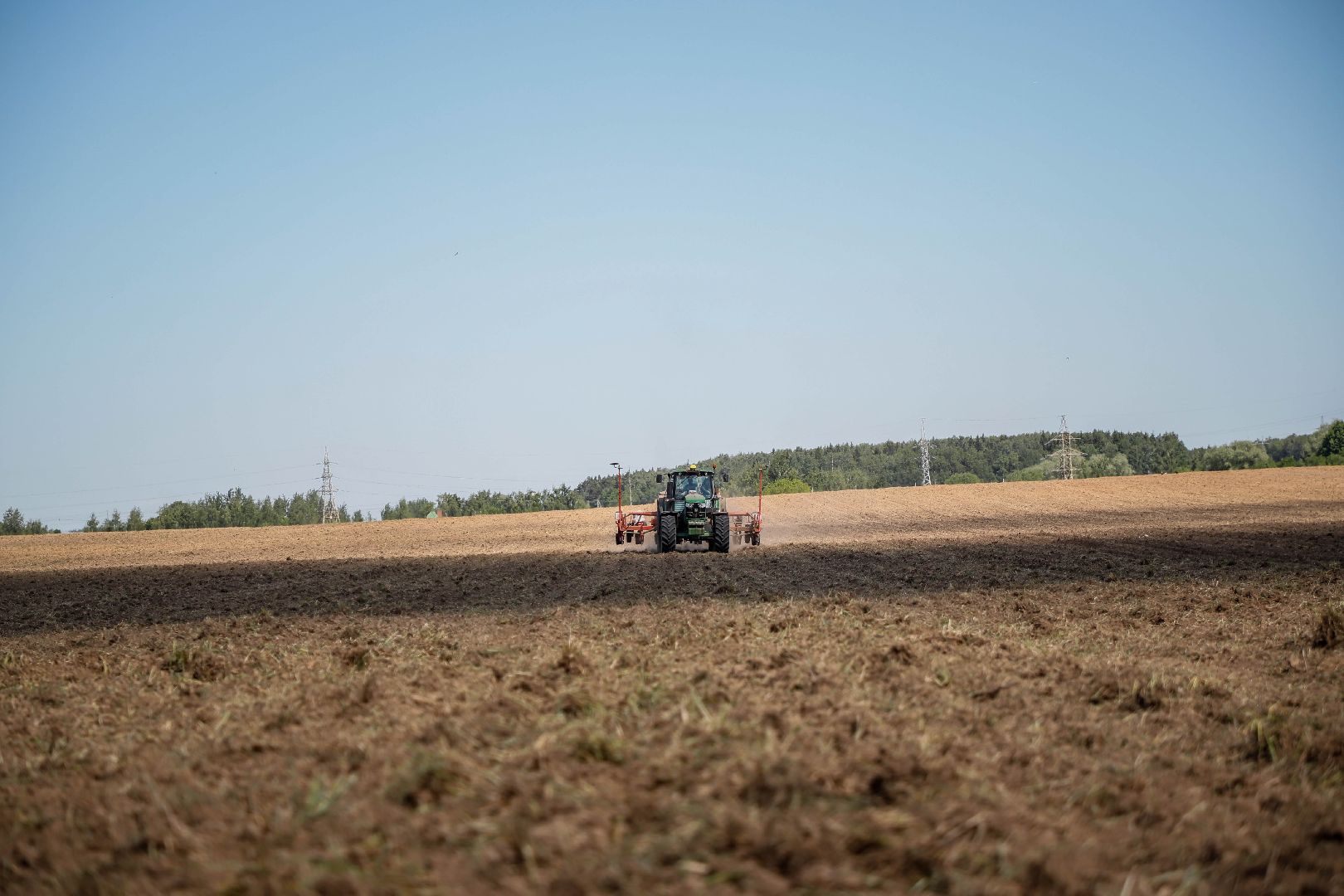 Повадинский племзавод, Домодедово