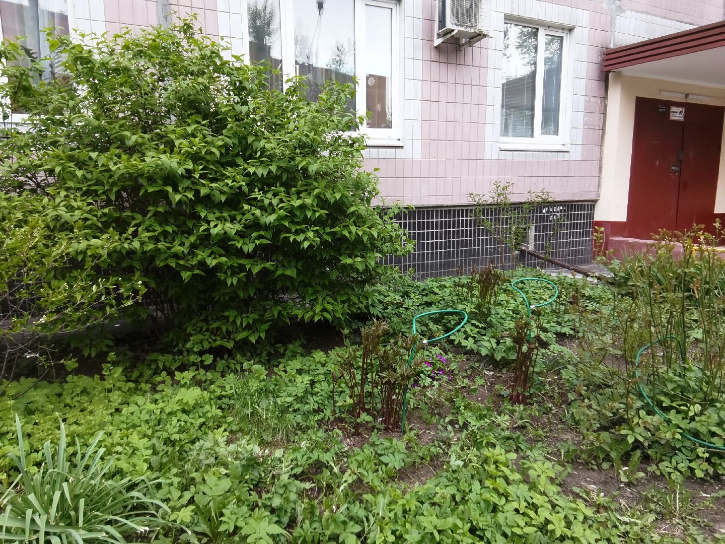 Балашиха, ЖКХ, благоустройство, клумба