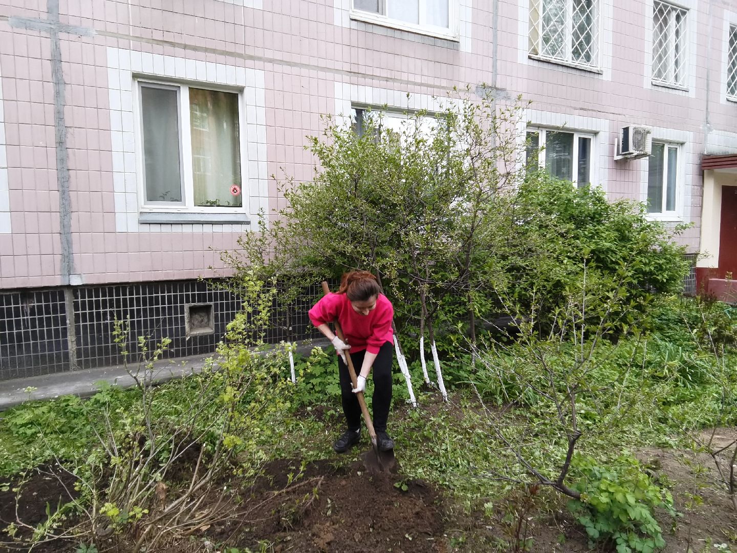 Балашиха, ЖКХ, благоустройство, клумба