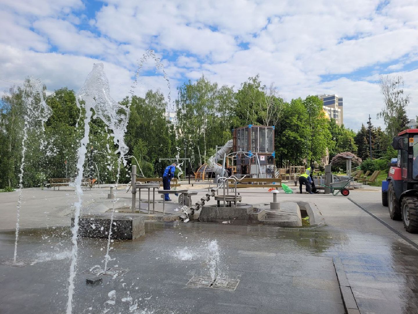 деревья; жкх; видное; благоустройство; вандализм