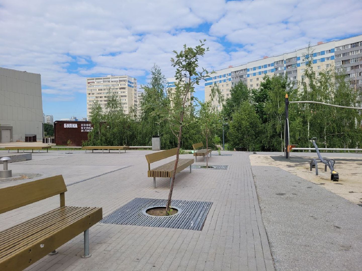 деревья; жкх; видное; благоустройство; вандализм