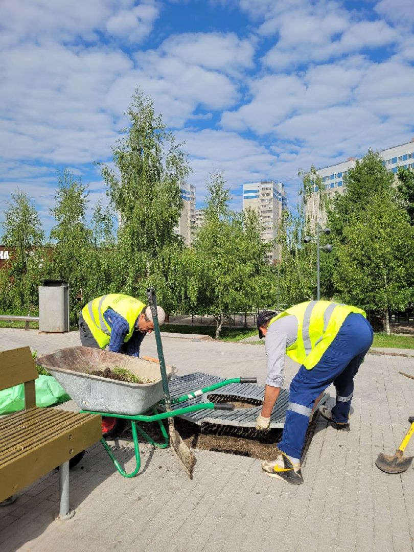 деревья; жкх; видное; благоустройство; вандализм