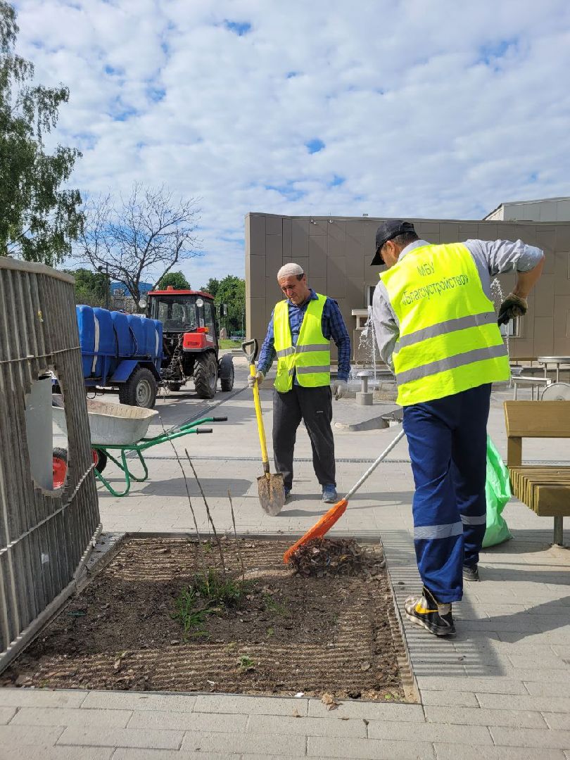 деревья; жкх; видное; благоустройство; вандализм