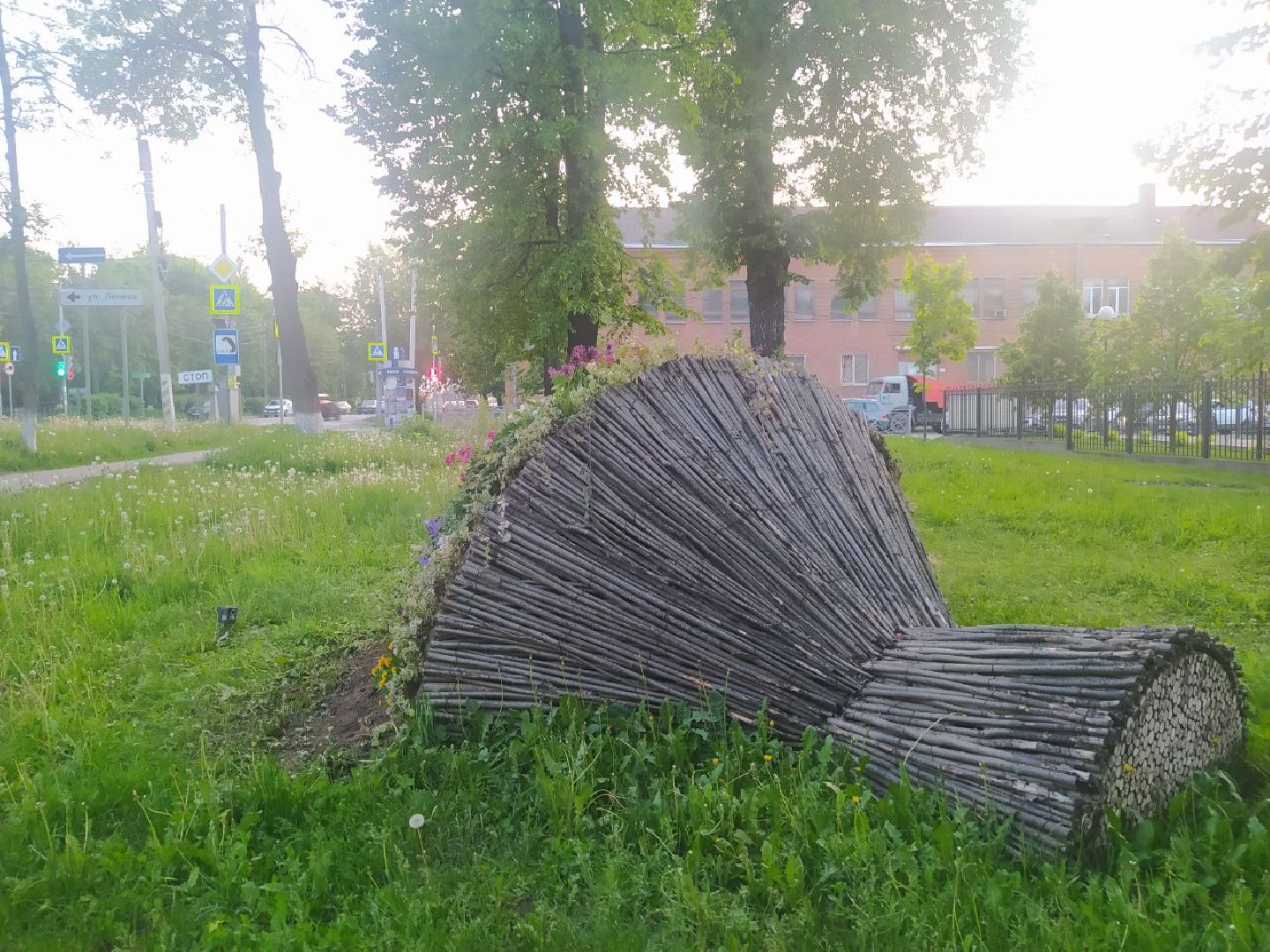 Истра, букет, цветы, благоустройство