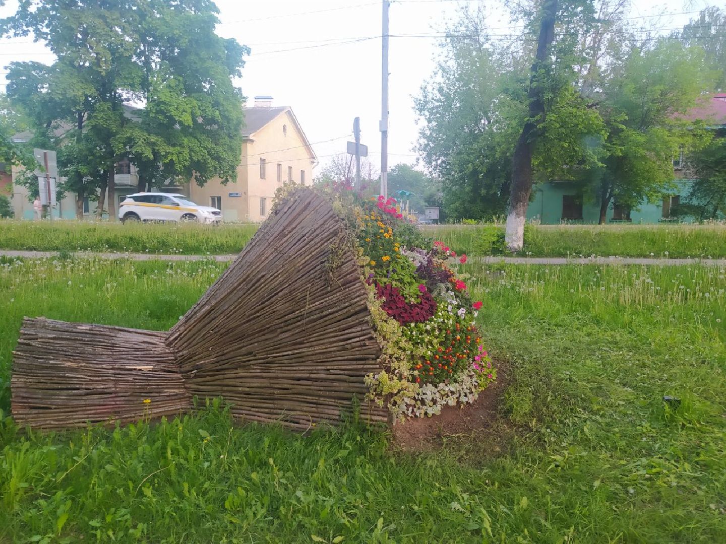 Истра, букет, цветы, благоустройство