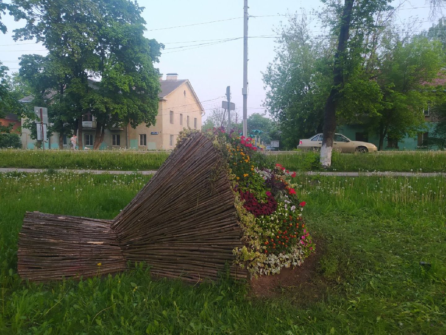 Истра, букет, цветы, благоустройство