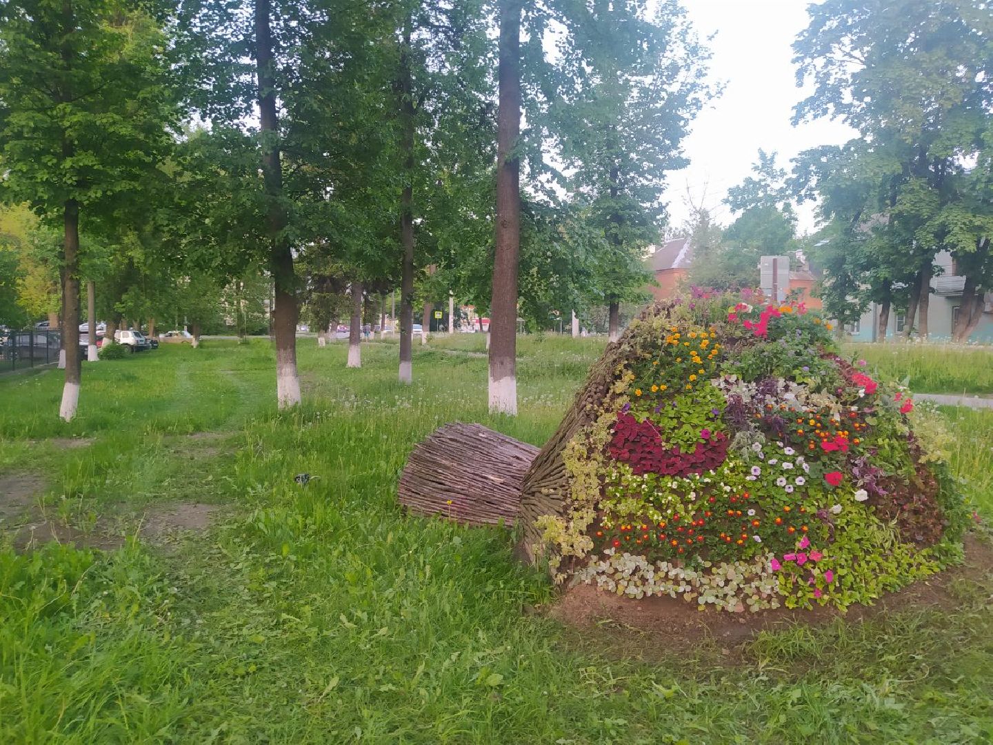 Истра, букет, цветы, благоустройство