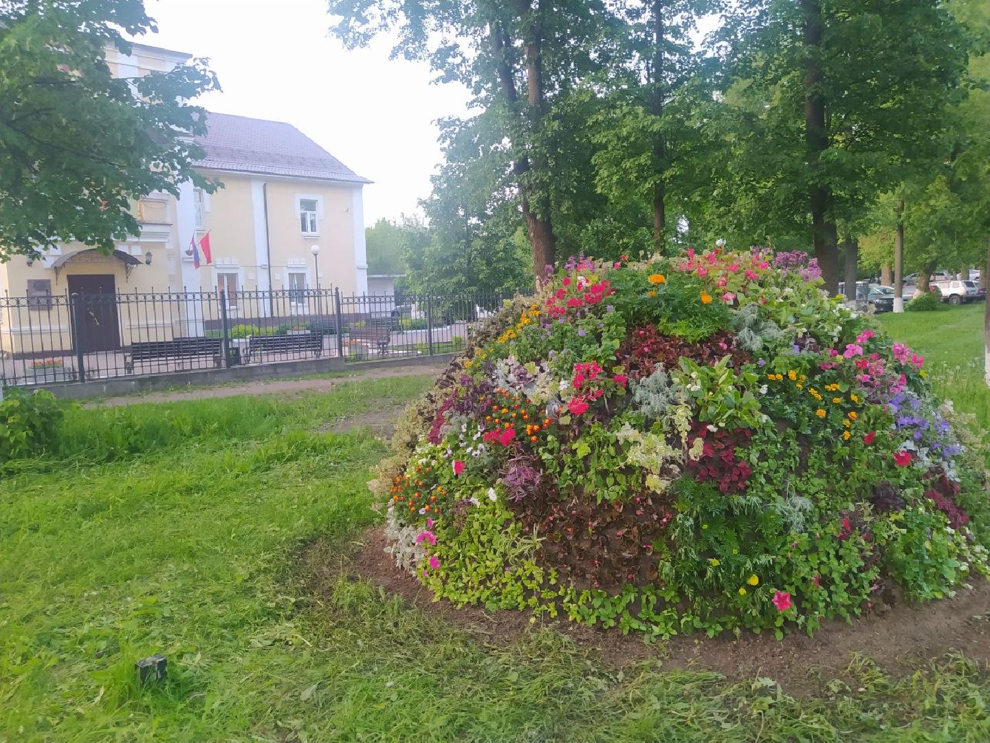 Истра, букет, цветы, благоустройство