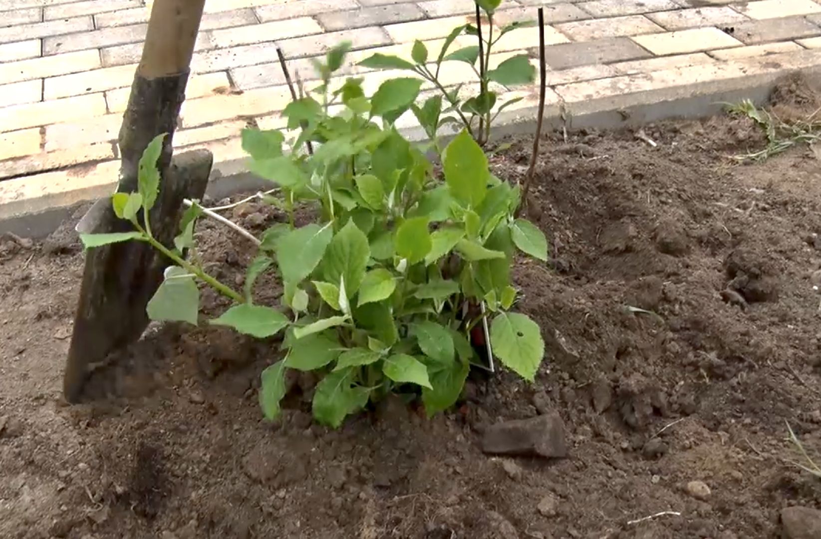 Клин, благоустройство, общество, новое пространство