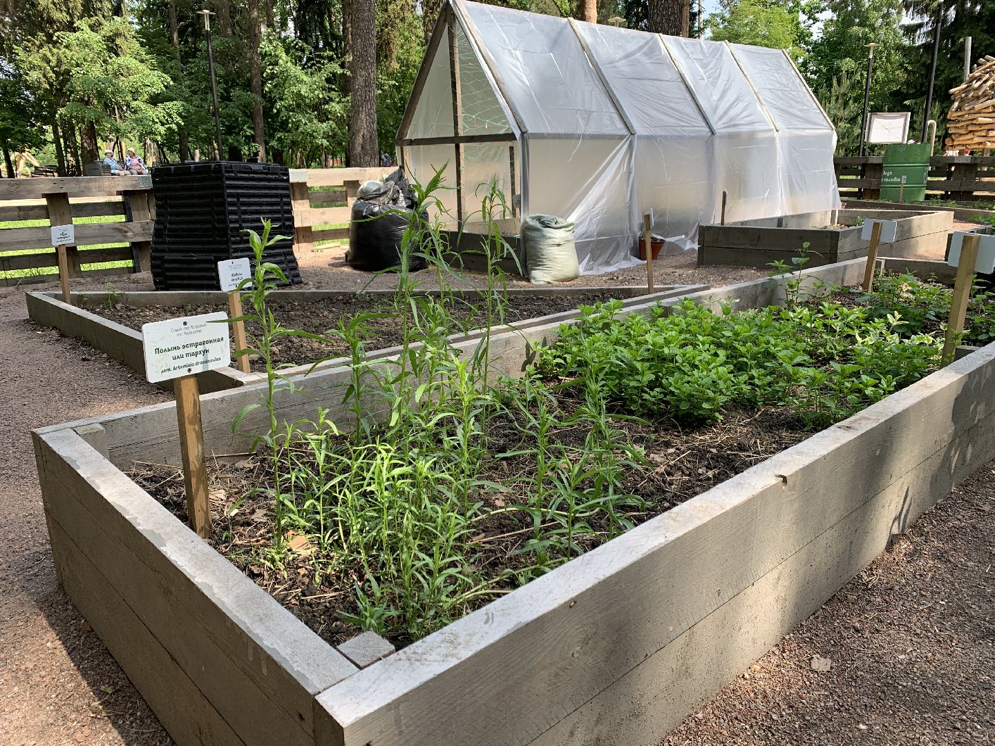 Балашиха, Подмосковье, благоустройство,Общественный огород, парки