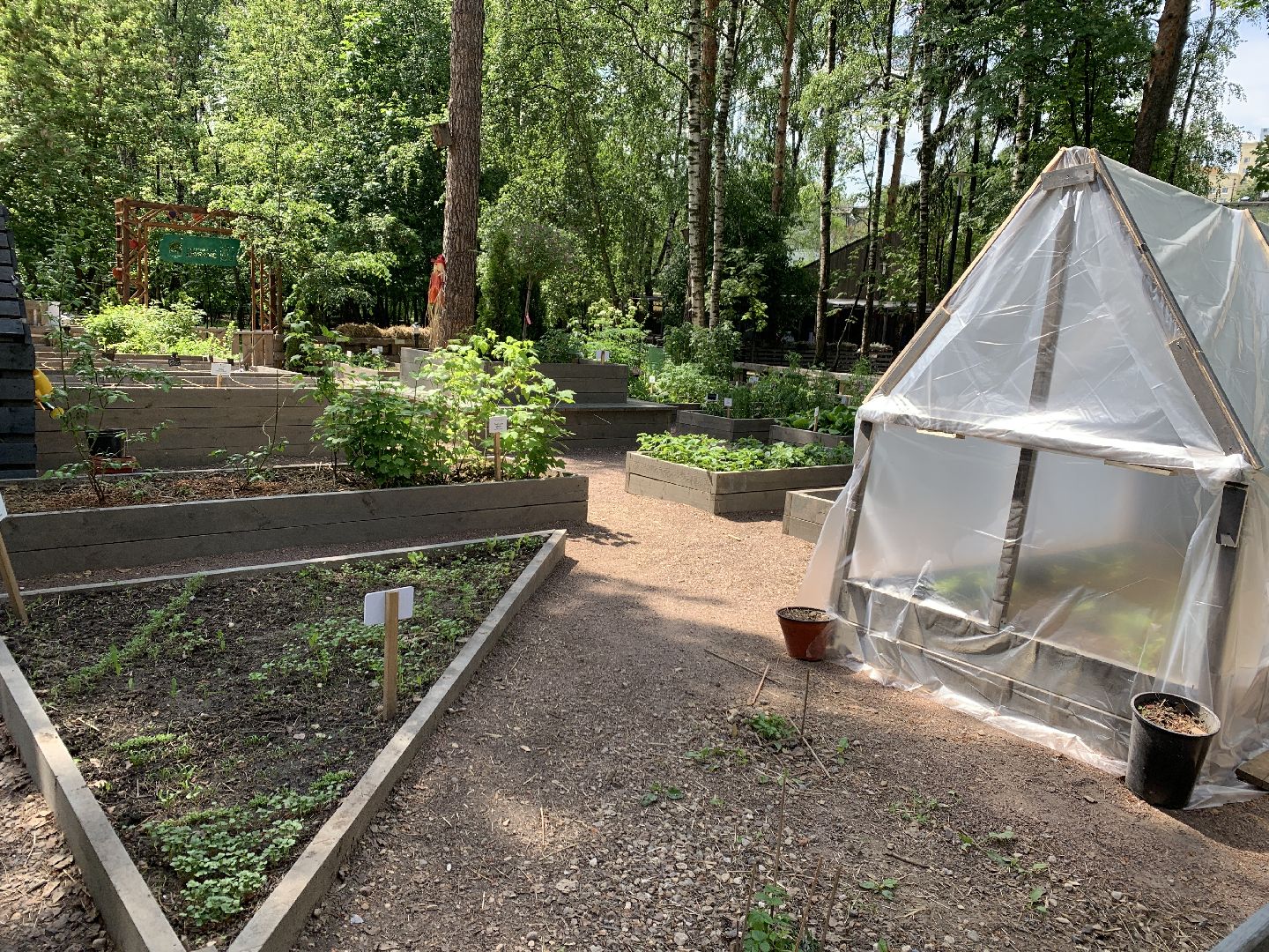 Балашиха, Подмосковье, благоустройство,Общественный огород, парки