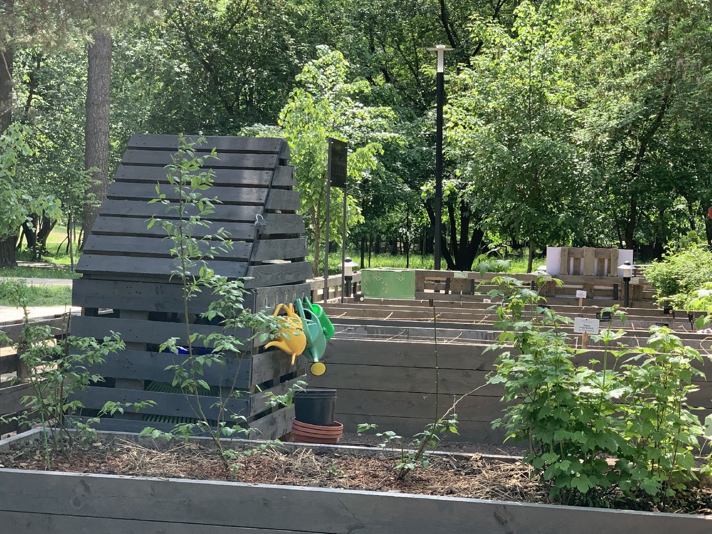 Балашиха, Подмосковье, благоустройство,Общественный огород, парки