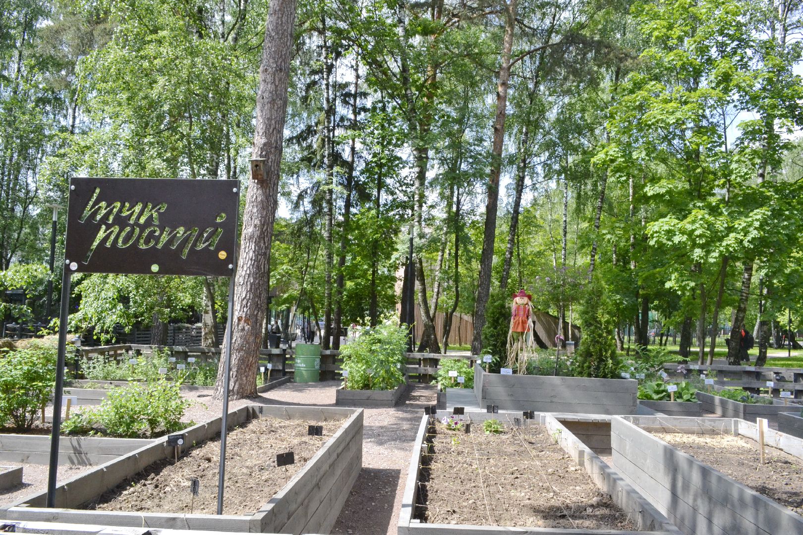 Балашиха, Подмосковье, благоустройство,Общественный огород, парки