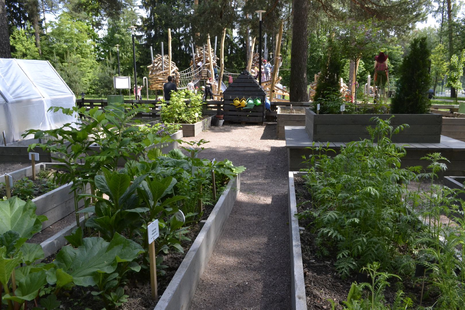 Балашиха, Подмосковье, благоустройство,Общественный огород, парки