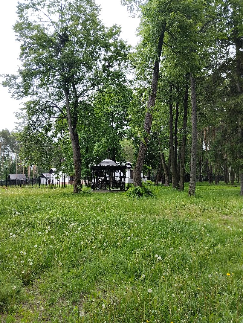 Благоустройство, парк, Глуховский парк, Ногинск, Богородский городской округ