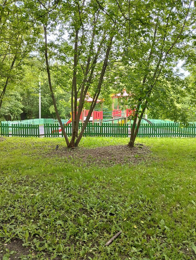 Благоустройство, парк, Глуховский парк, Ногинск, Богородский городской округ