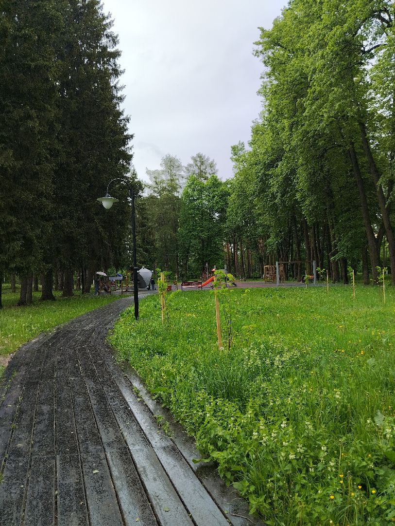 Благоустройство, парк, Глуховский парк, Ногинск, Богородский городской округ