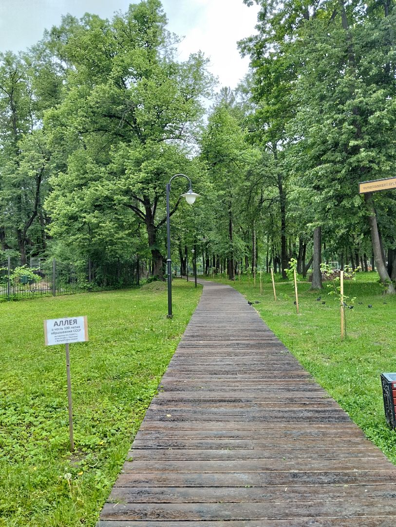 Благоустройство, парк, Глуховский парк, Ногинск, Богородский городской округ