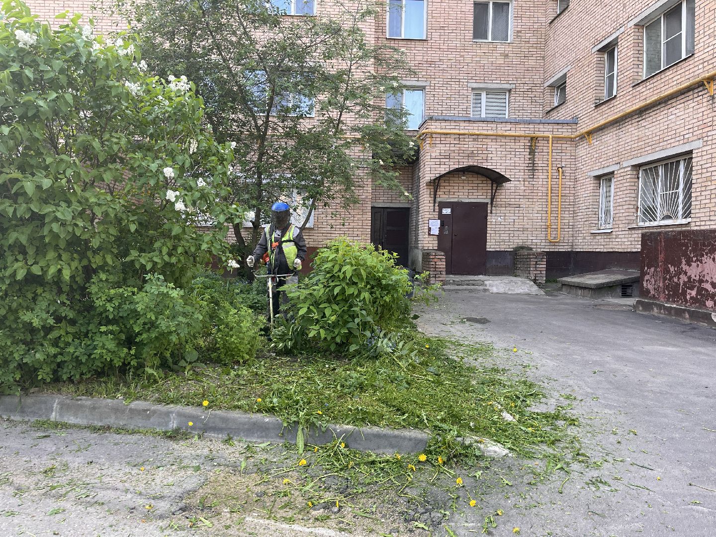 Шаховская, покос травы, мбу