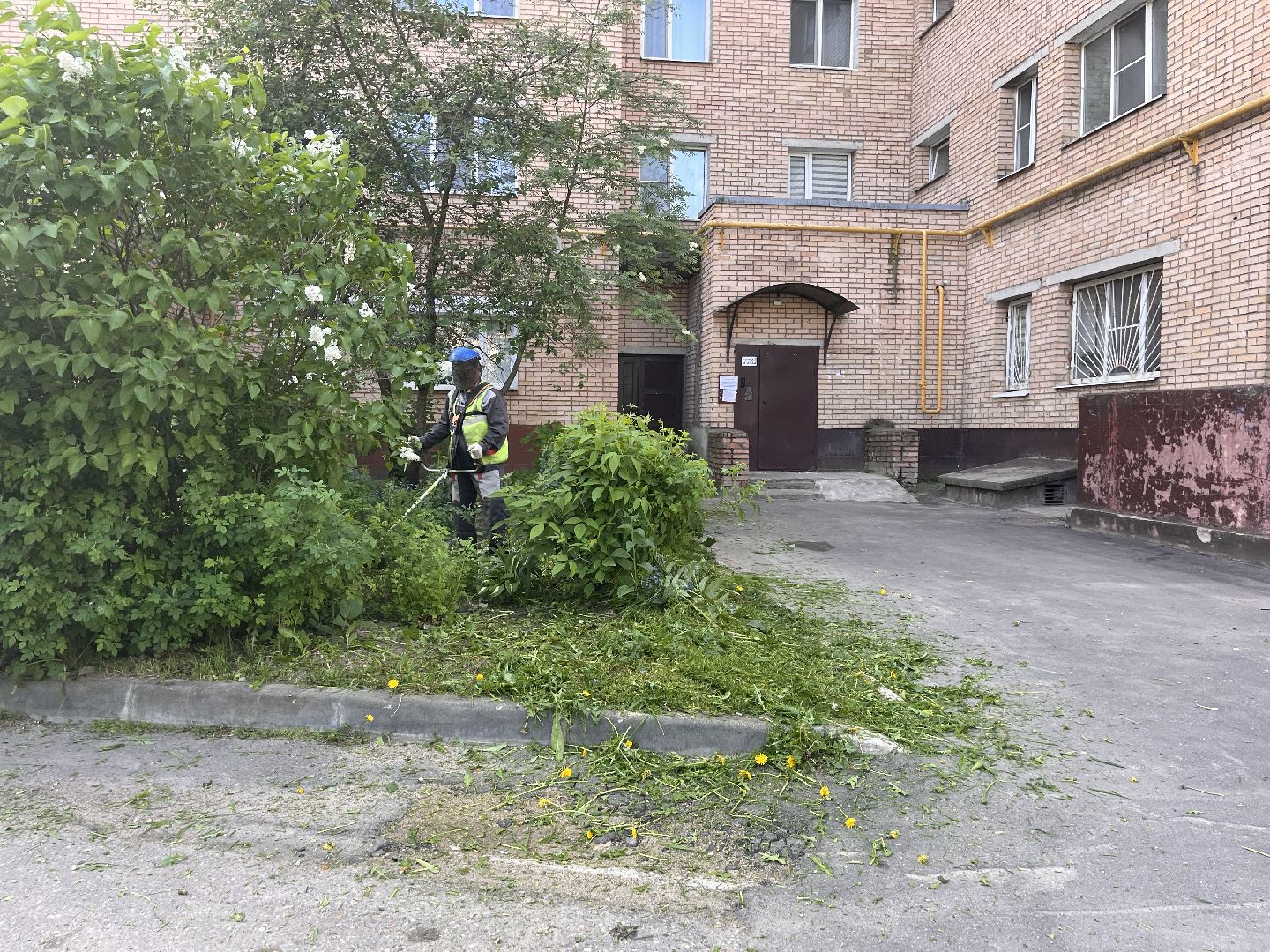 Шаховская, покос травы, мбу