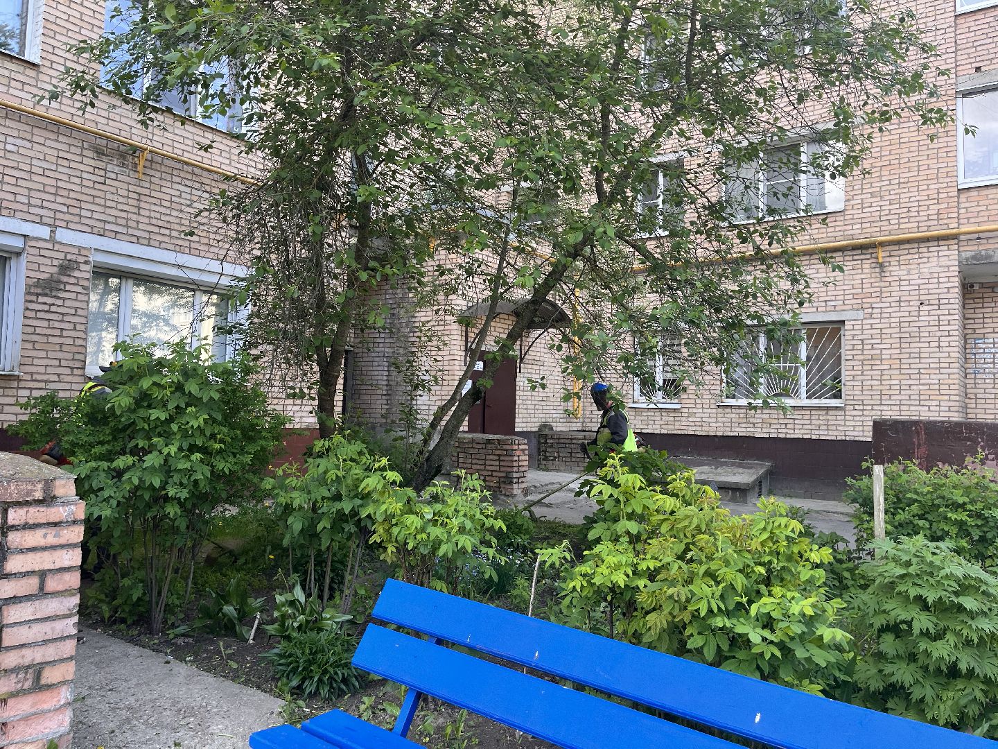 Шаховская, покос травы, мбу