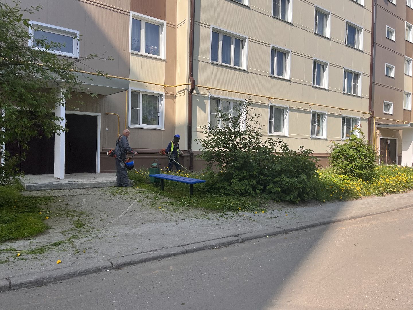 Шаховская, покос травы, мбу