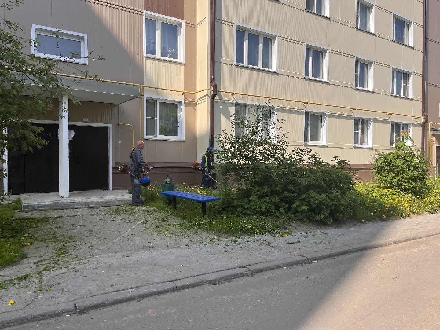 Шаховская, покос травы, мбу