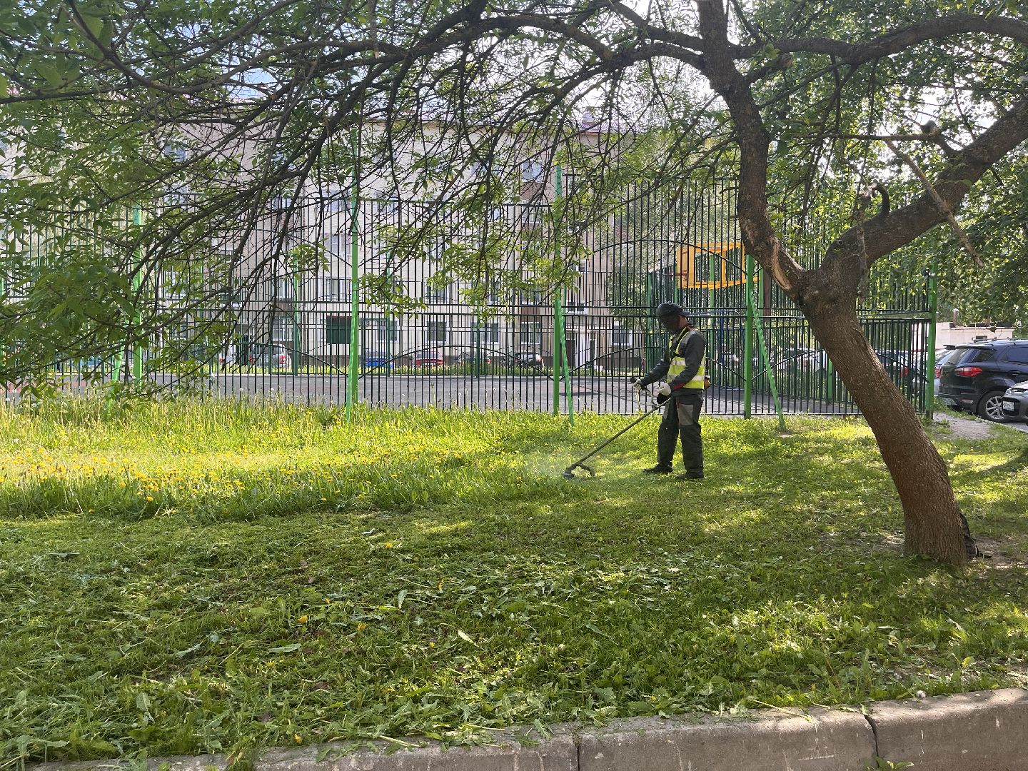 Шаховская, покос травы, мбу