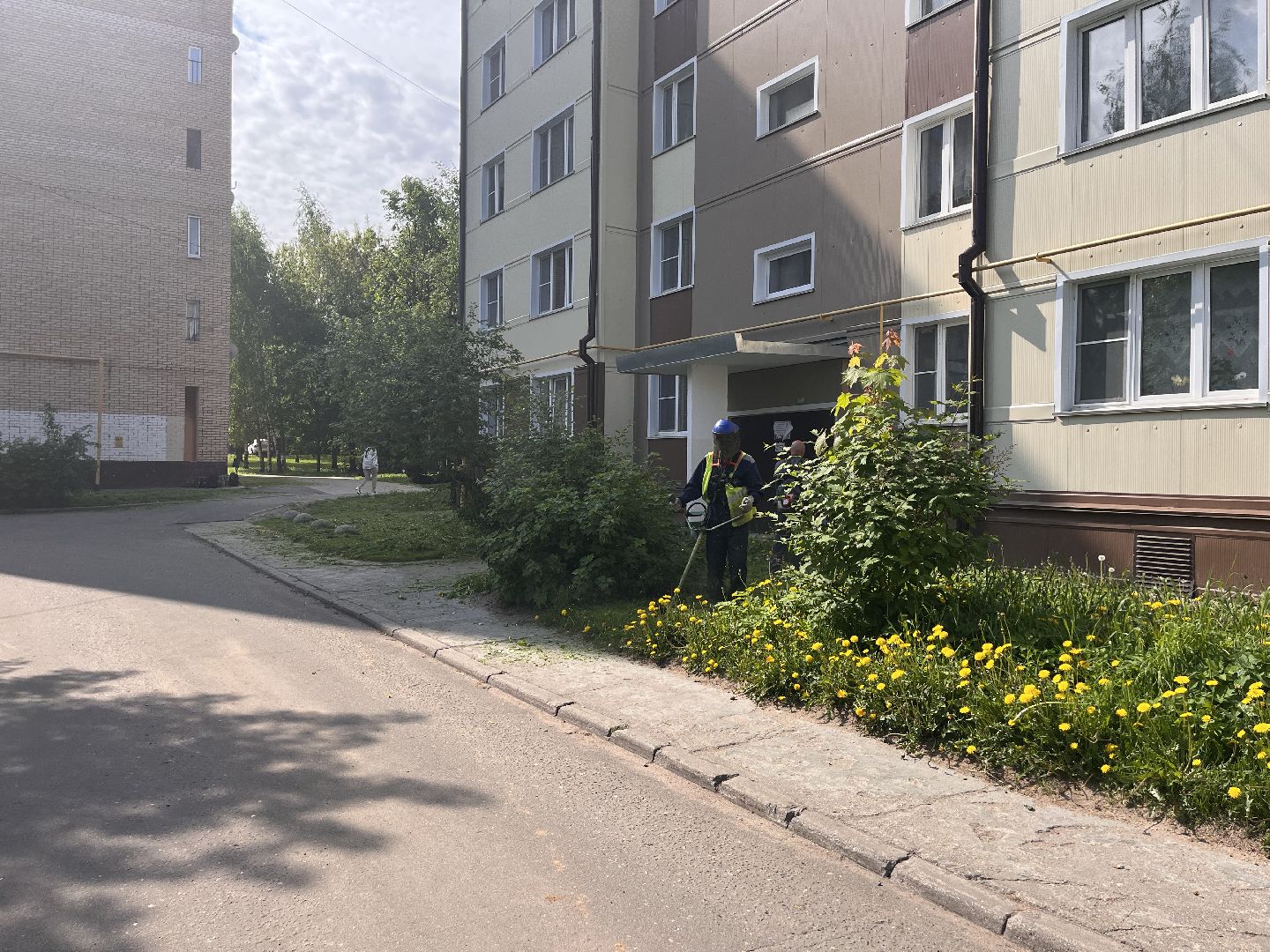 Шаховская, покос травы, мбу