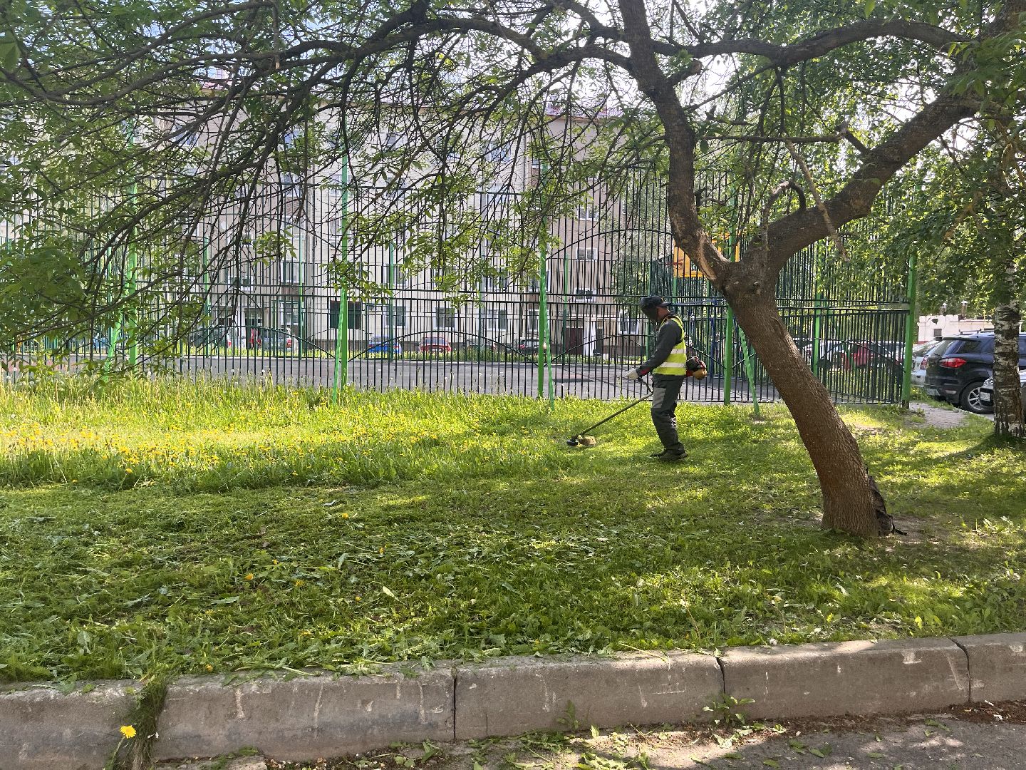 Шаховская, покос травы, мбу