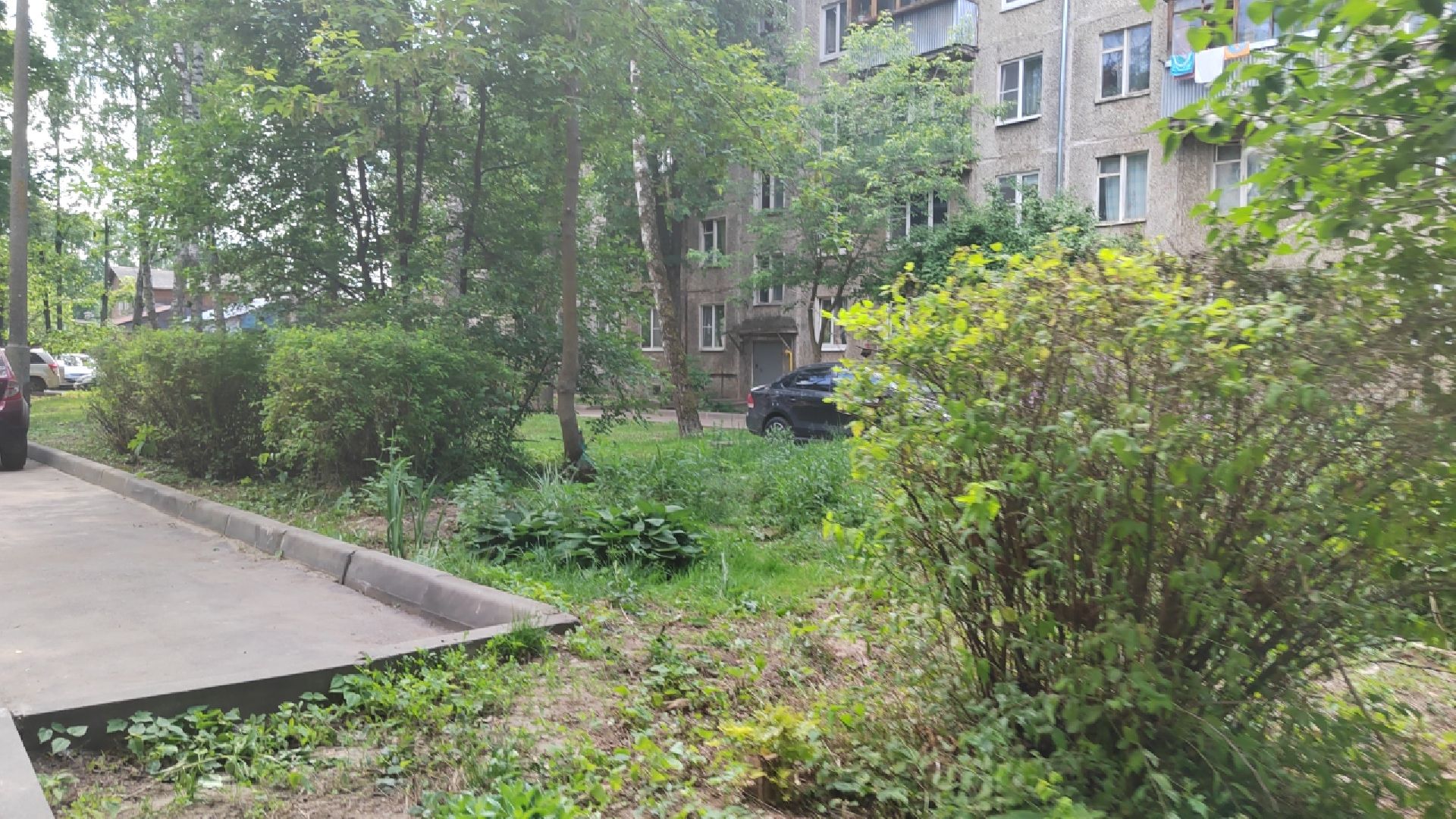 Пушкино, Мамонтовка, ГУСТ, благоустройство