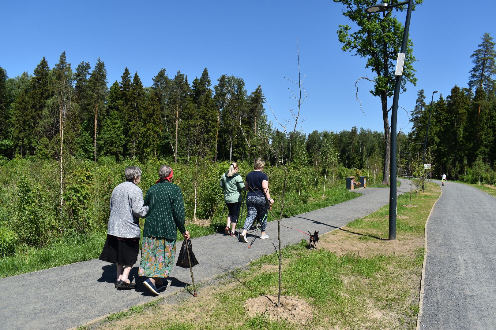 Балашиха, Подмосковье, благоустройство, парки, Ольгинский лесопарк, депутаты, Тарас Ефимов