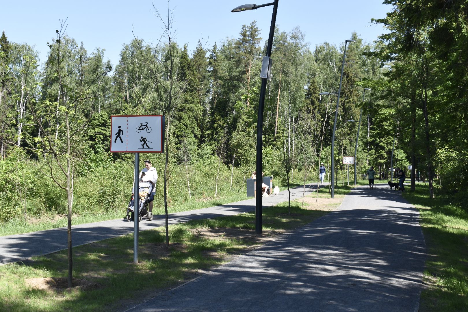 Балашиха, Подмосковье, благоустройство, парки, Ольгинский лесопарк, депутаты, Тарас Ефимов