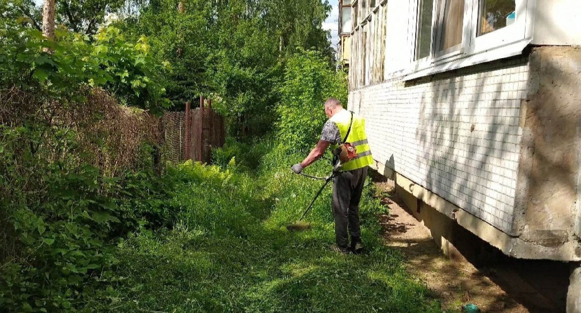 Покос, трава, благоустройство