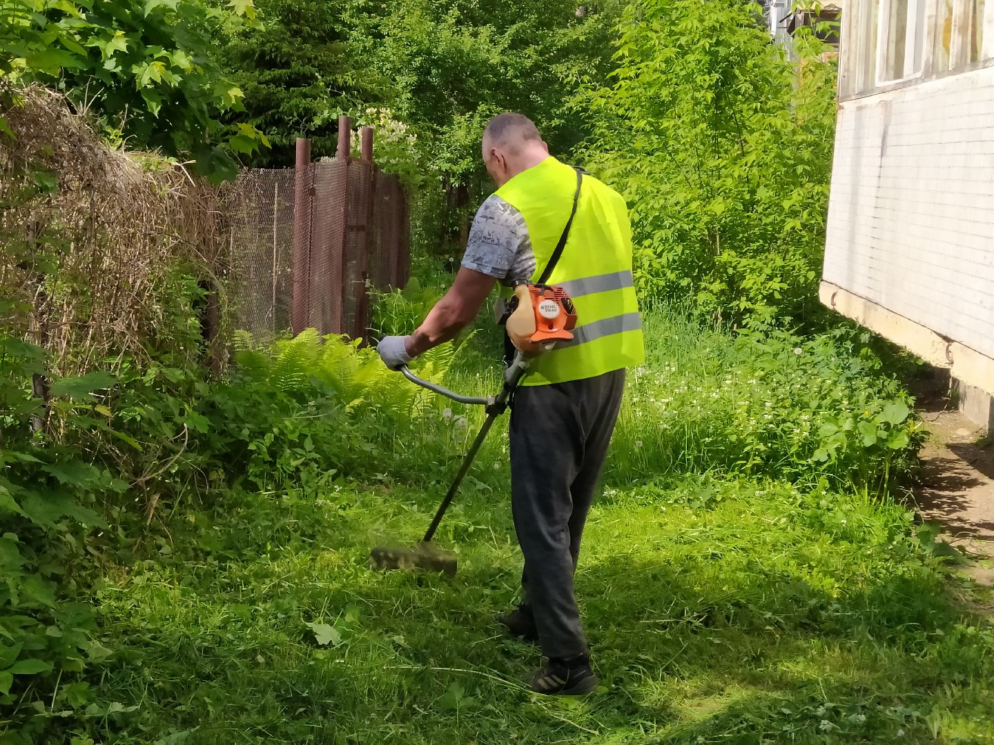 Покос, трава, благоустройство