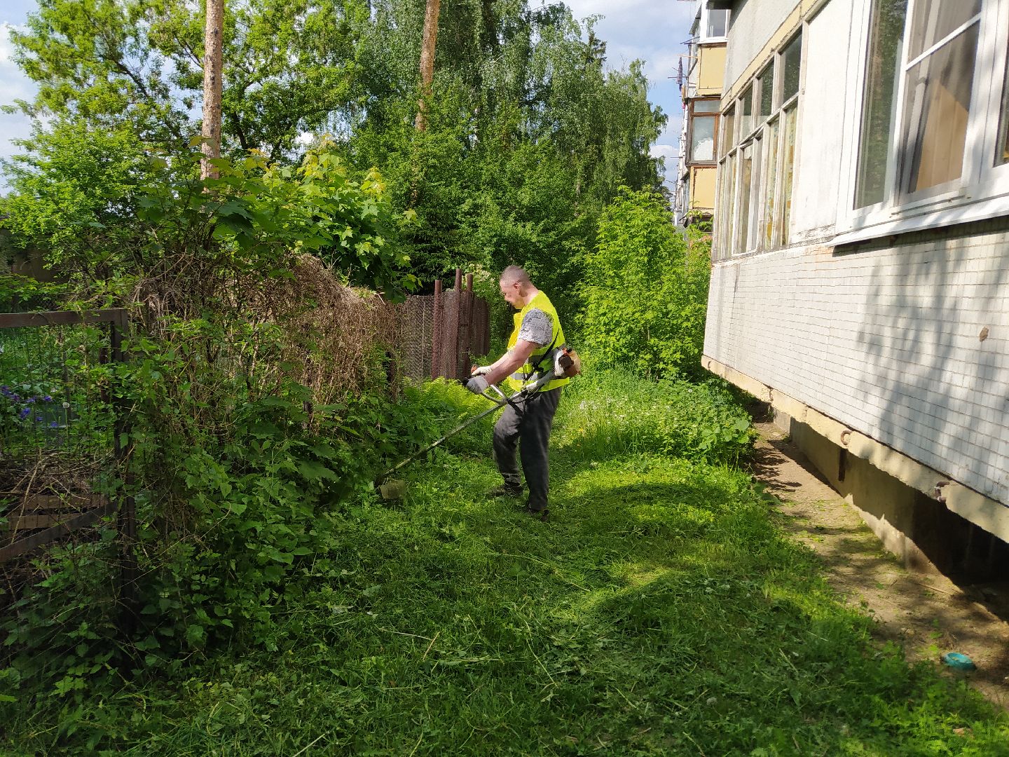 Покос, трава, благоустройство